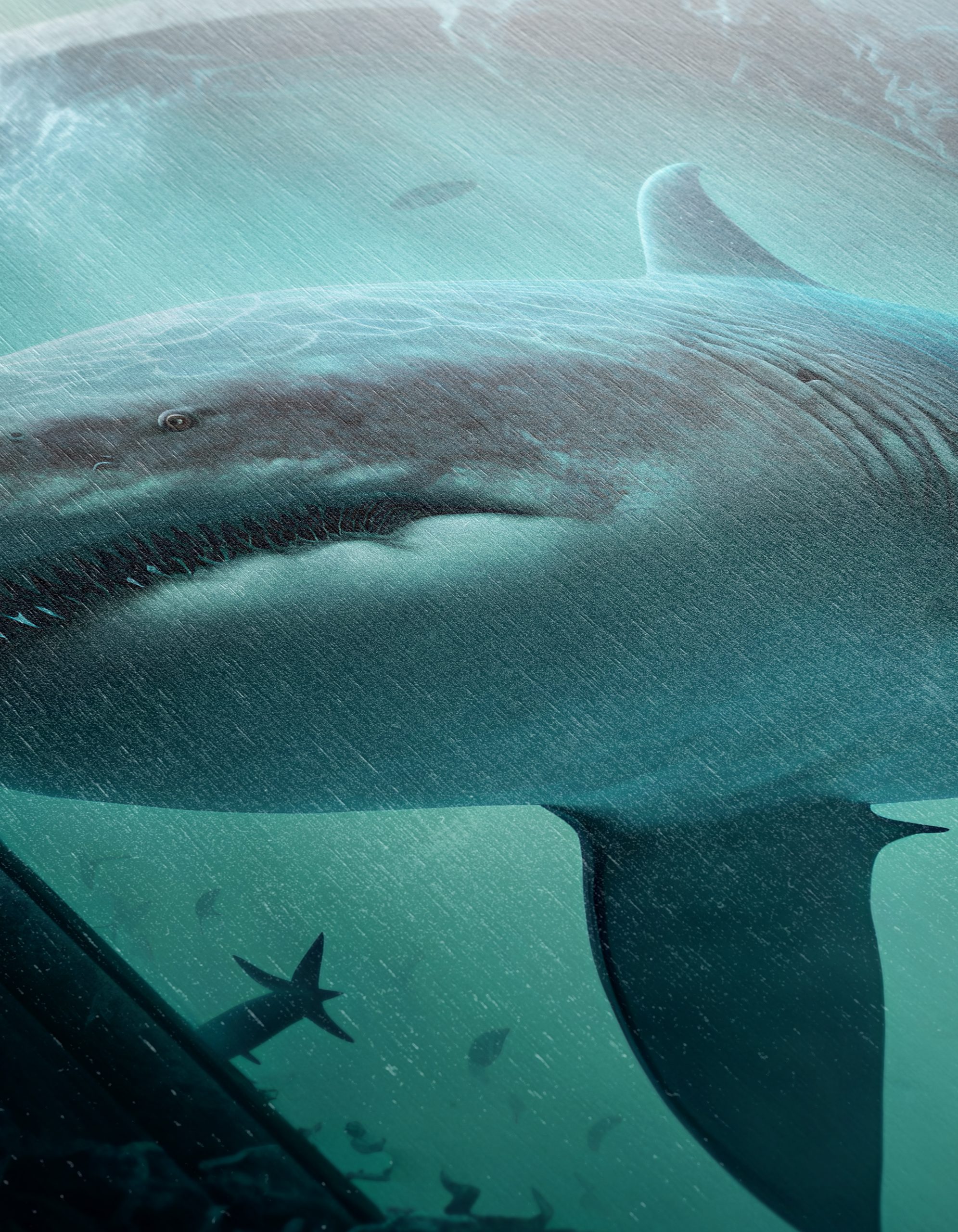 Majestic Shark Swimming Through Ancient Portal - Image 12