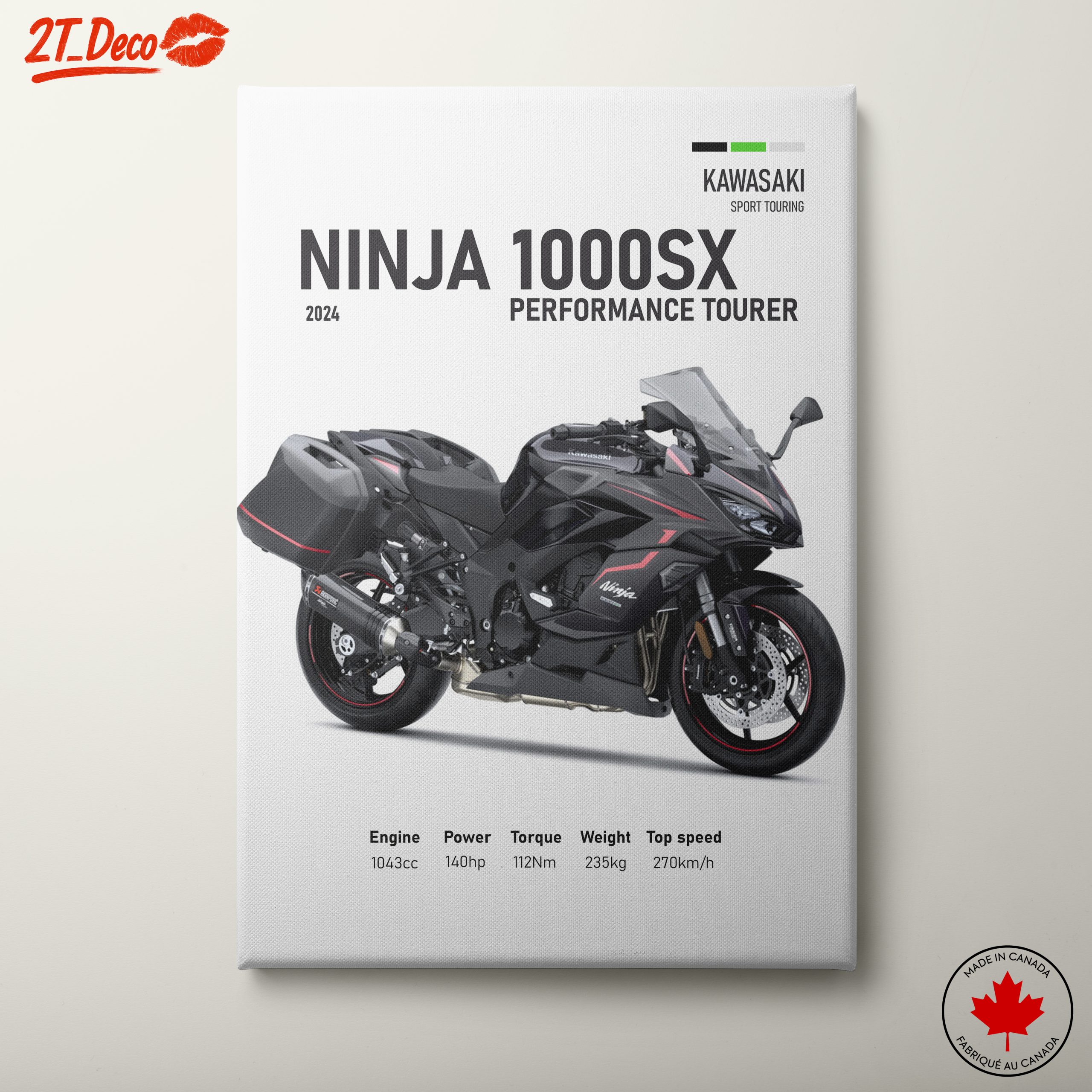Kawasaki Ninja 1000SX Performance Tourer Art