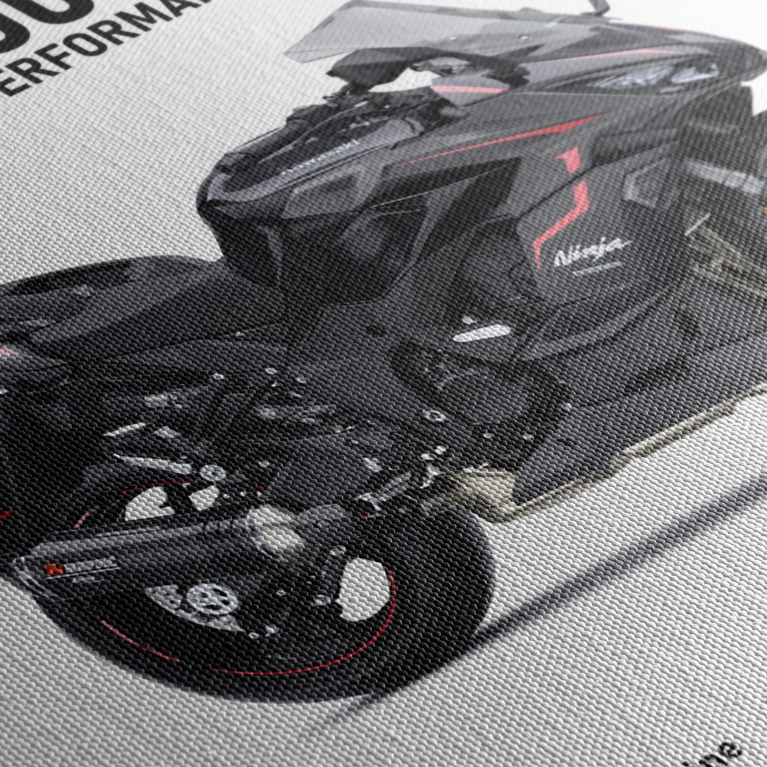 Kawasaki Ninja 1000SX Performance Tourer Art - Image 5