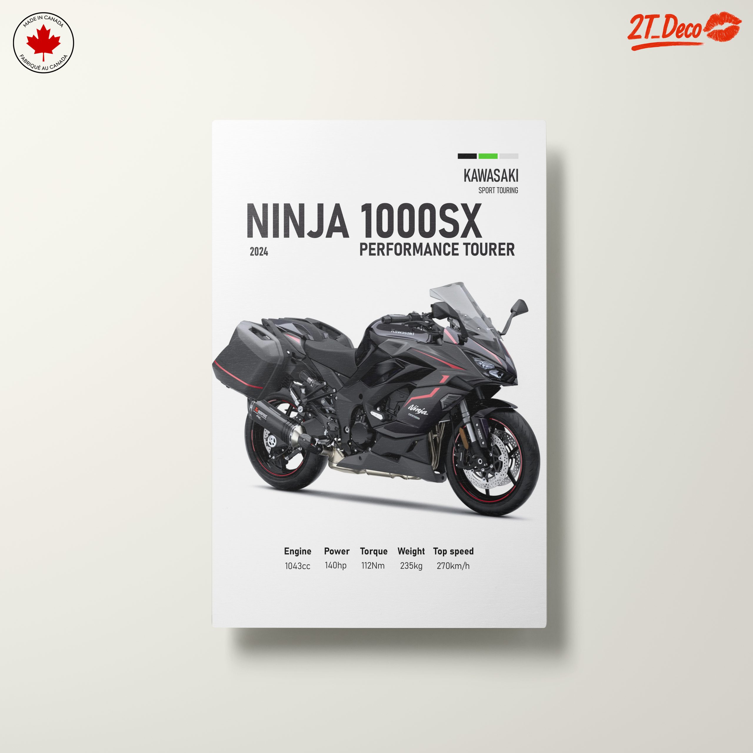 Kawasaki Ninja 1000SX Performance Tourer Art - Image 10