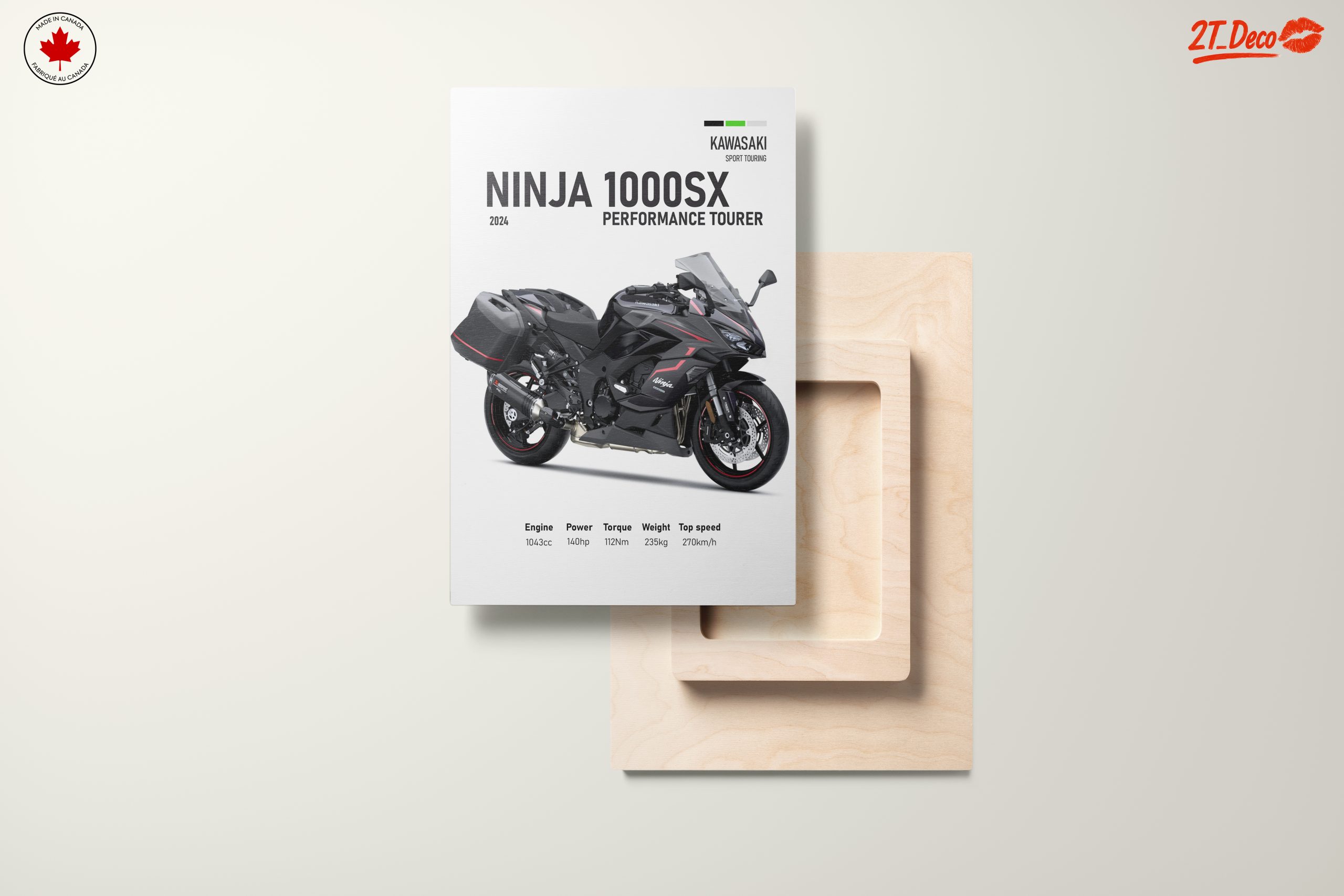Kawasaki Ninja 1000SX Performance Tourer Art - Image 11