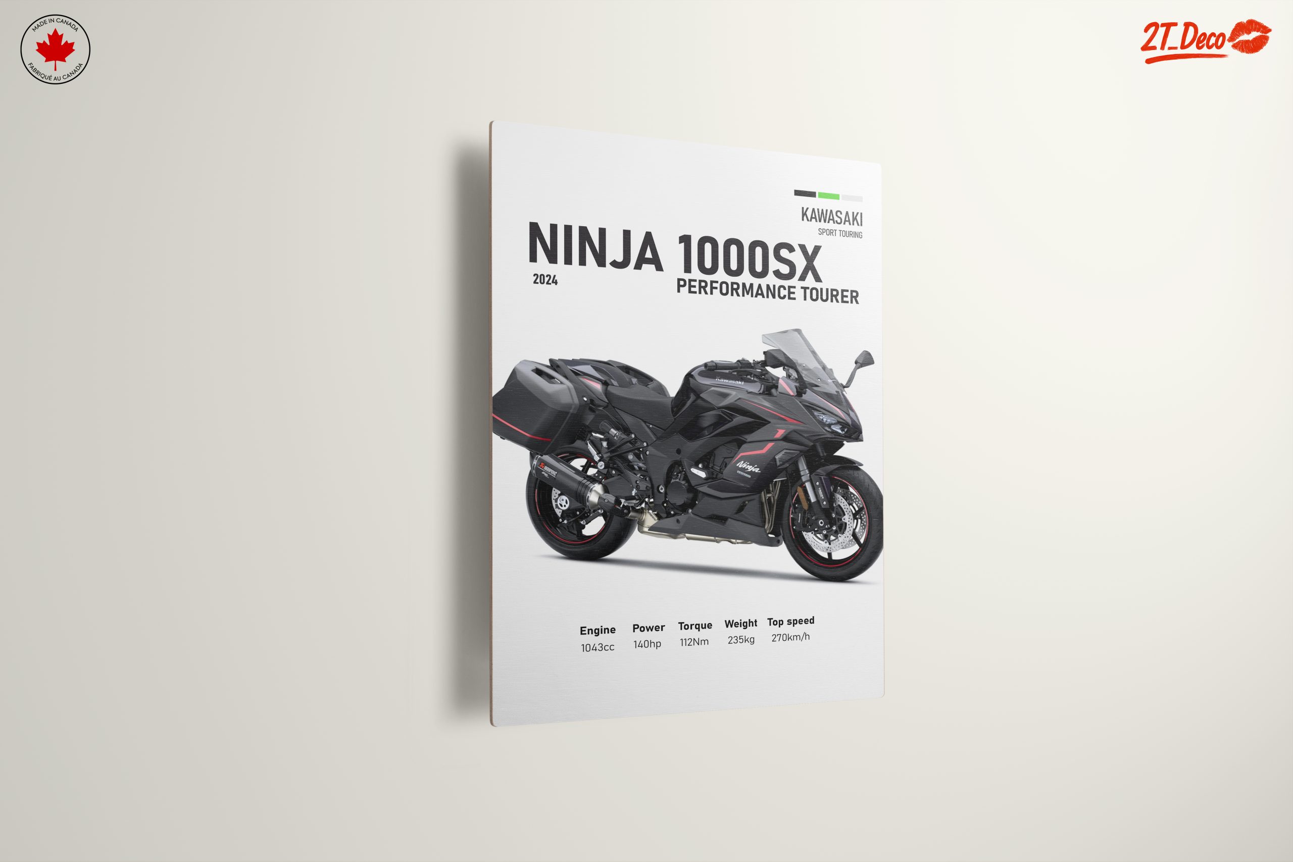 Kawasaki Ninja 1000SX Performance Tourer Art - Image 13