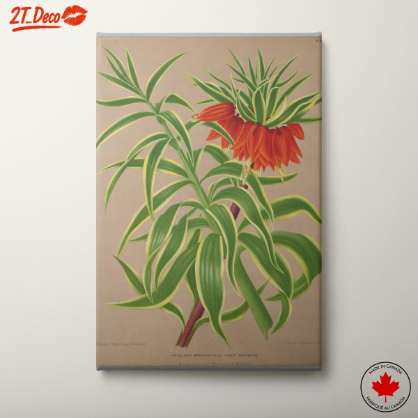 Vibrant Botanical Illustration of Fritillaria