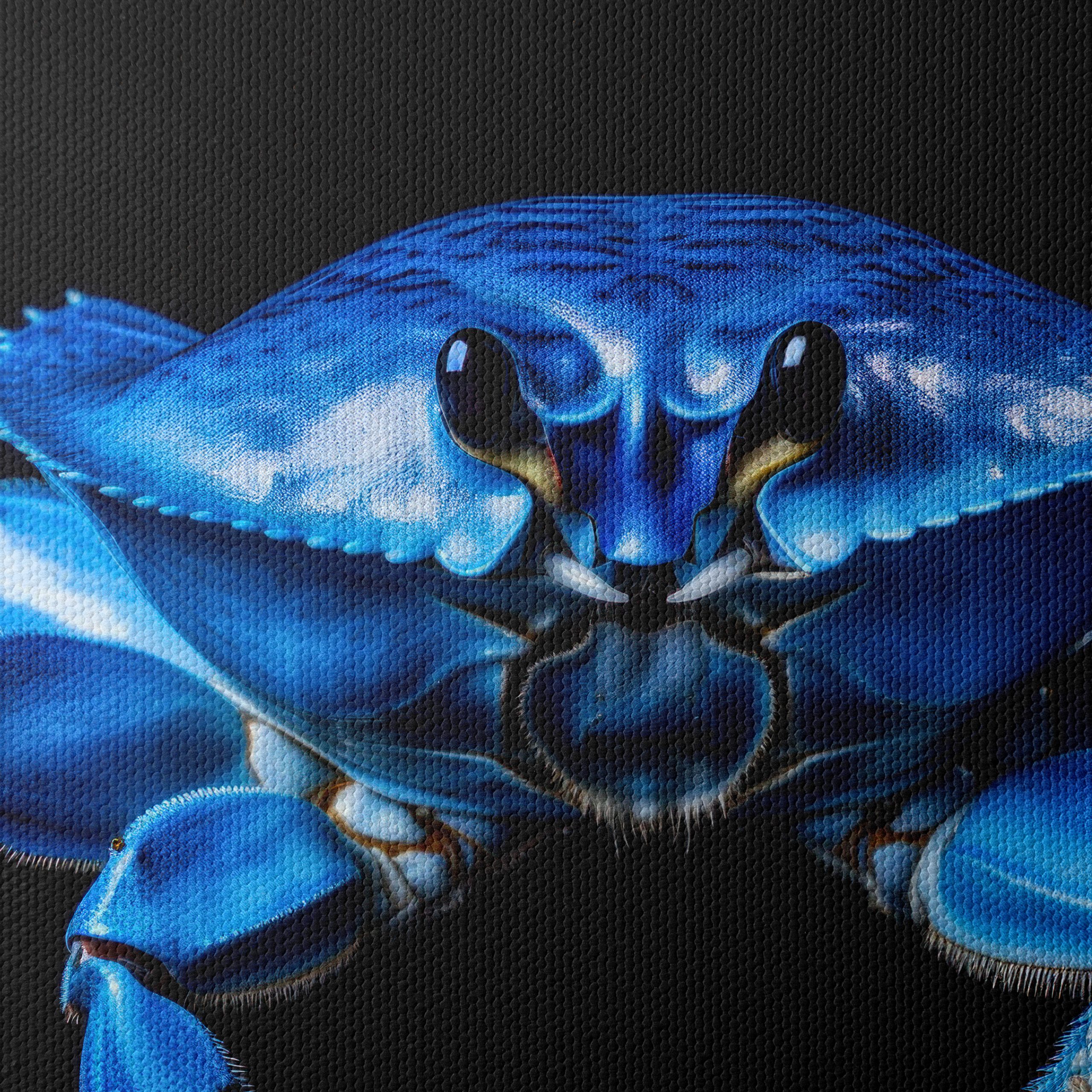 Blue Crab Wall Art - Image 4