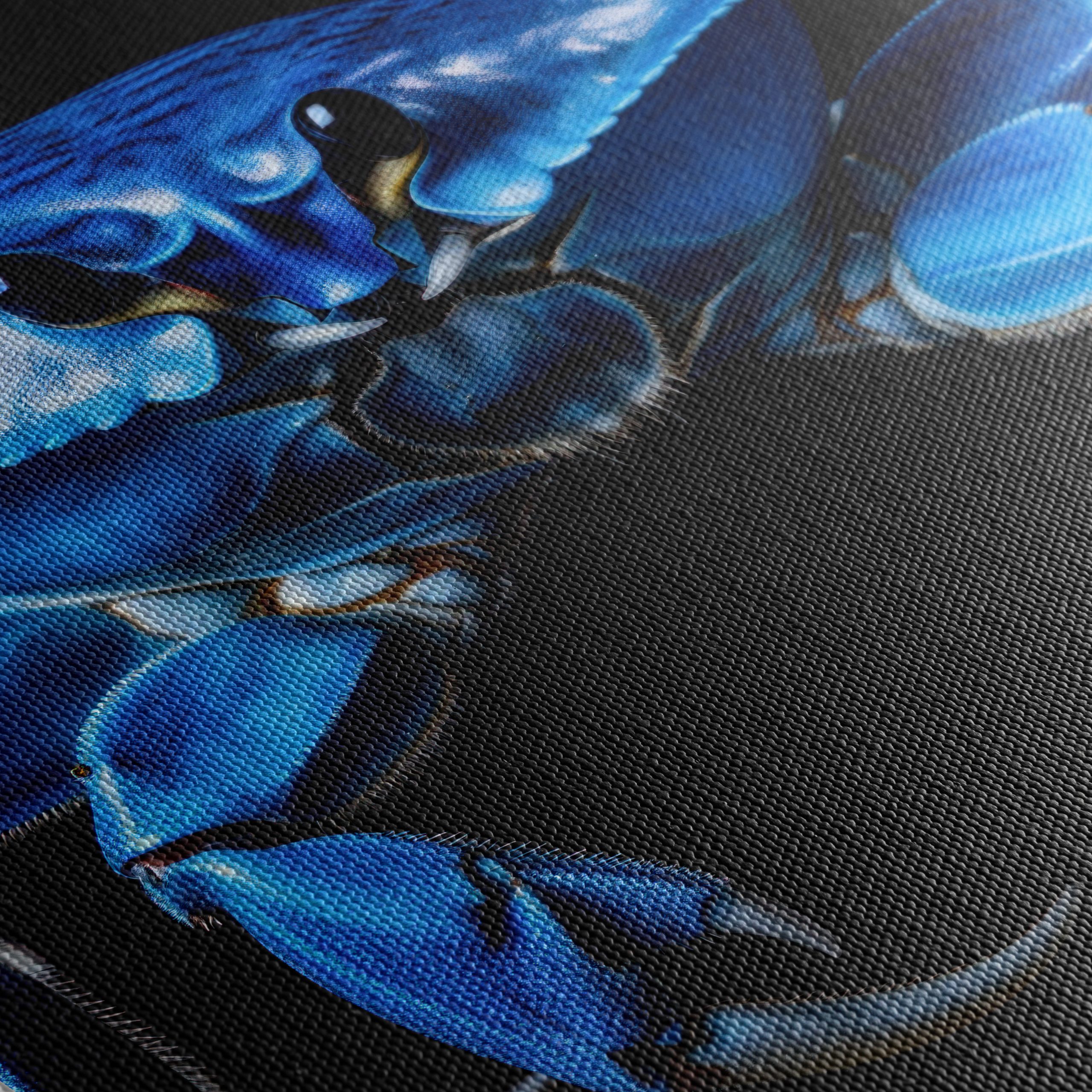 Blue Crab Wall Art - Image 5