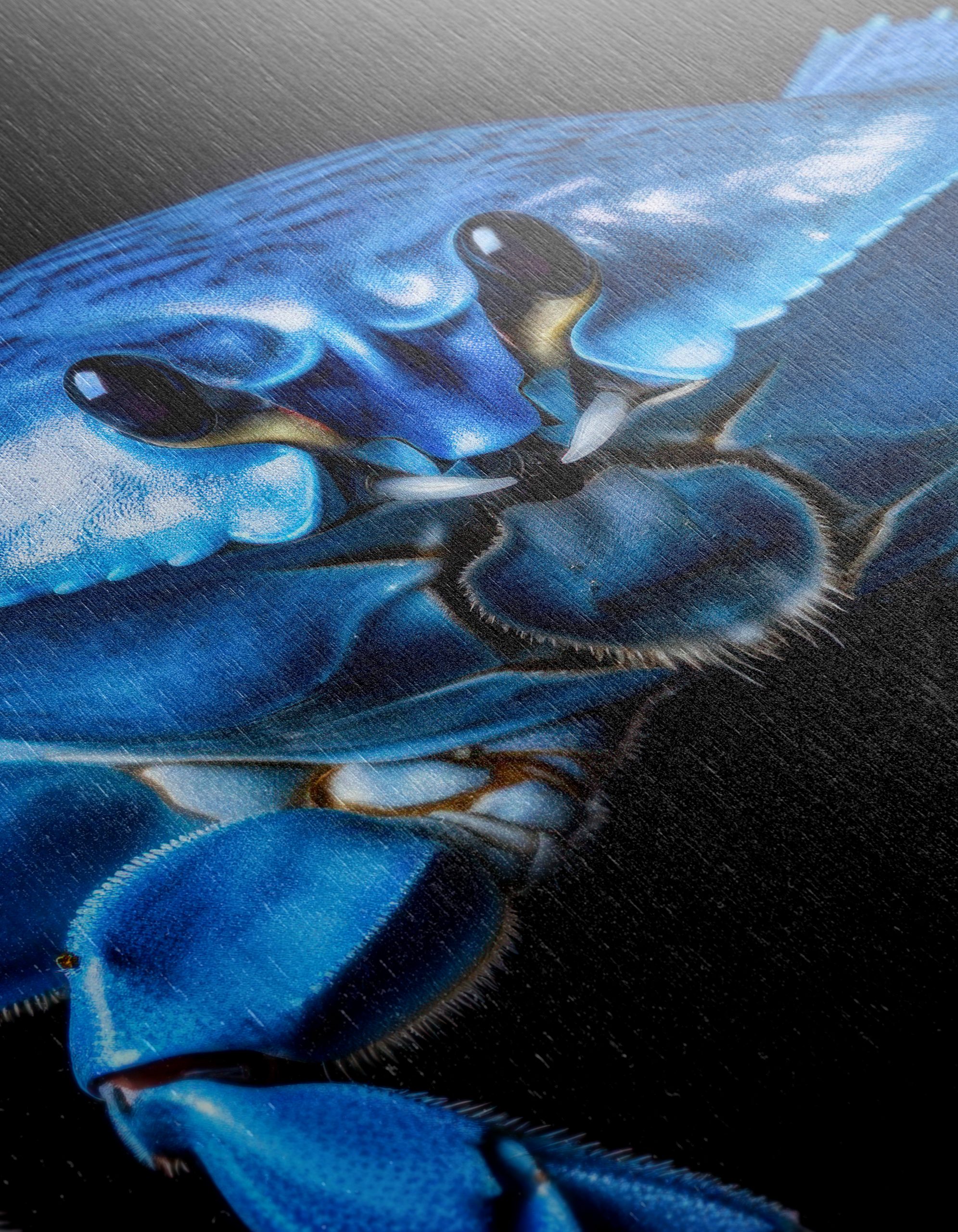 Blue Crab Wall Art - Image 12