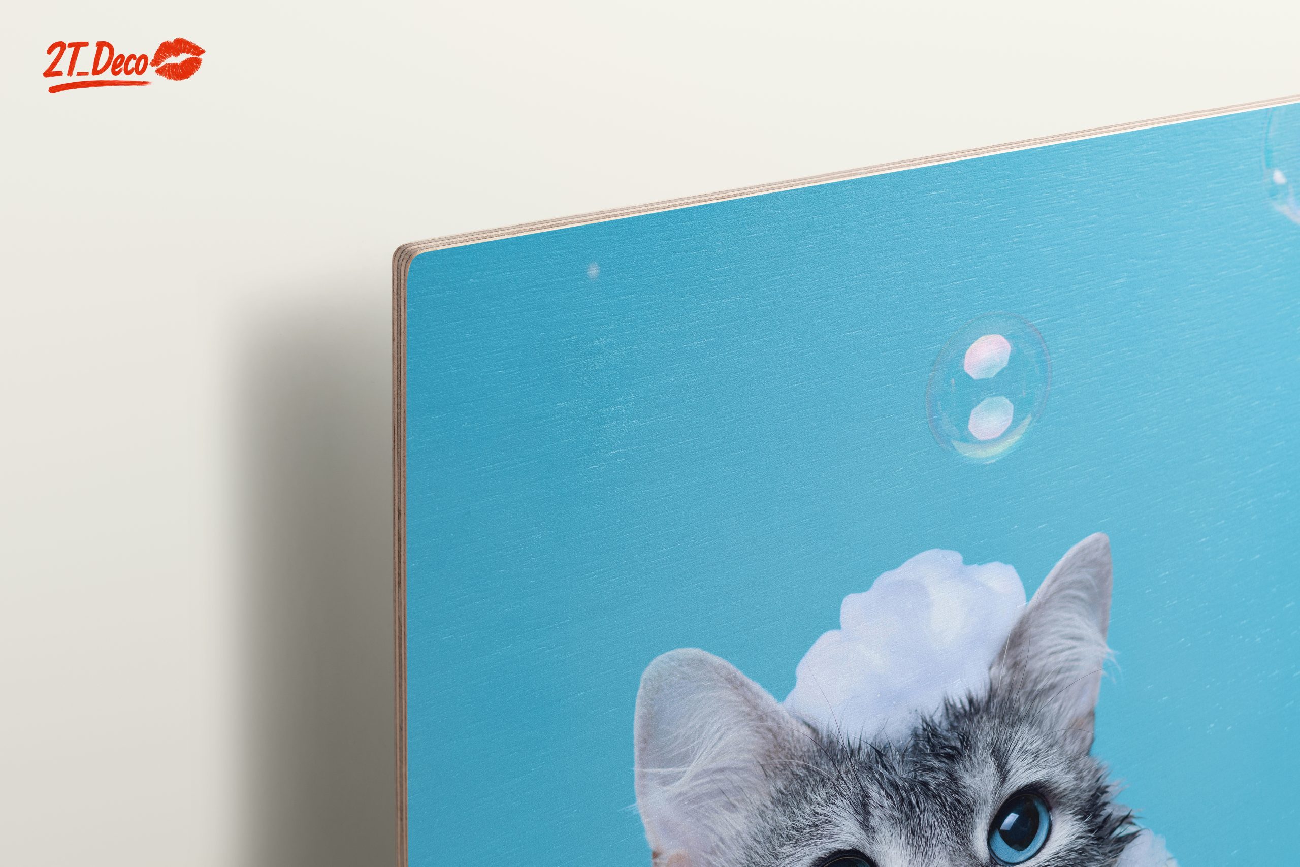 Cute Cat Bathing with Bubbles - Image 15