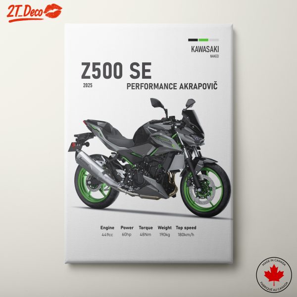 Kawasaki Z500 SE Performance Art