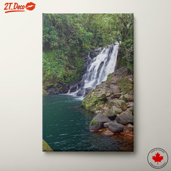 Serene Waterfall in Lush Greenery