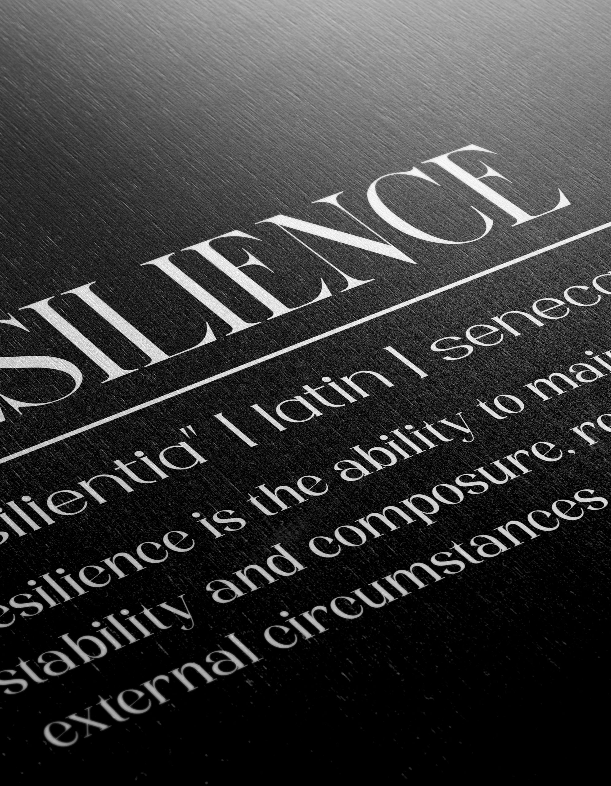 Resilience Inspirational Quote Poster - Image 12