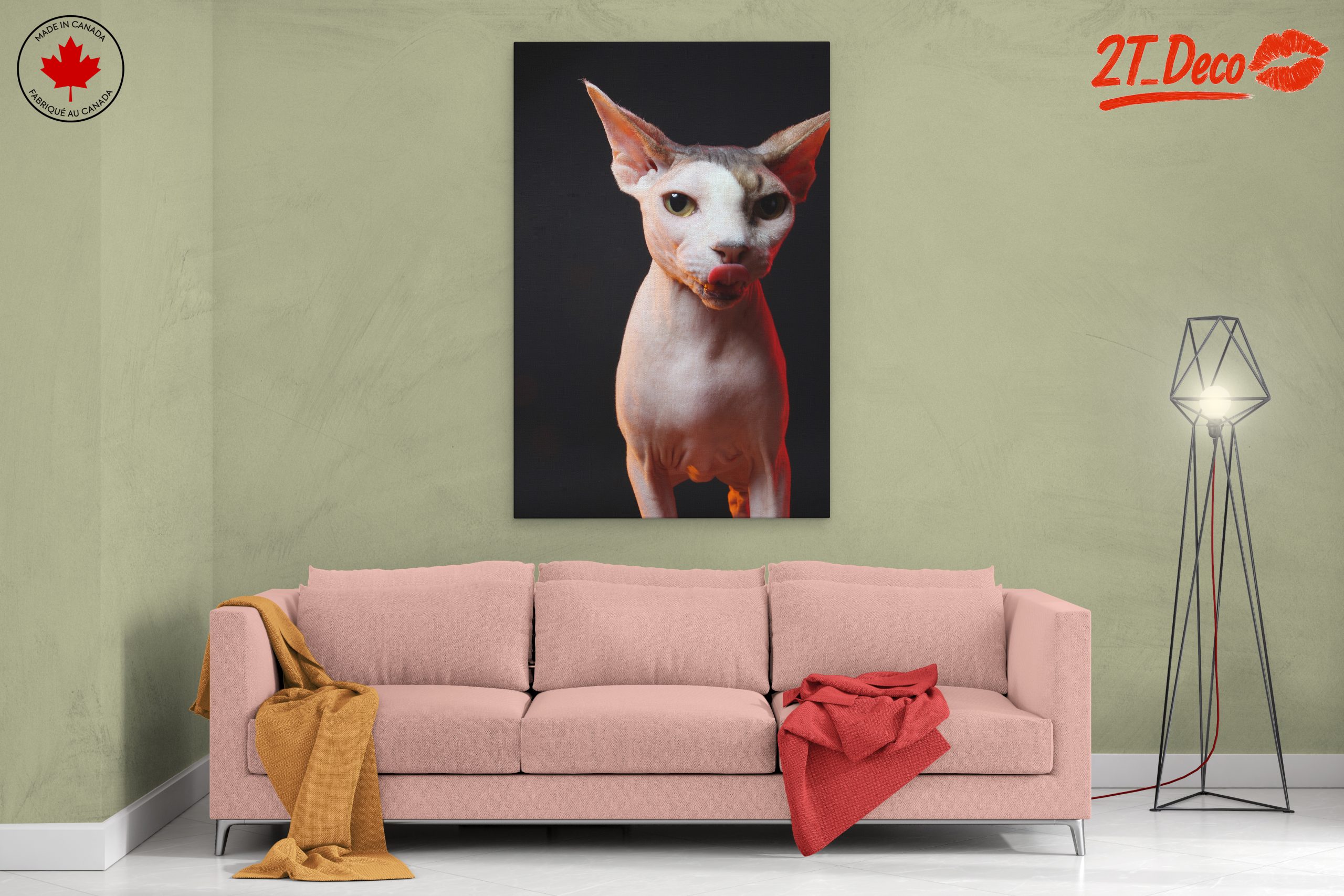 Cute Sphynx Cat with Unique Expression - Image 2