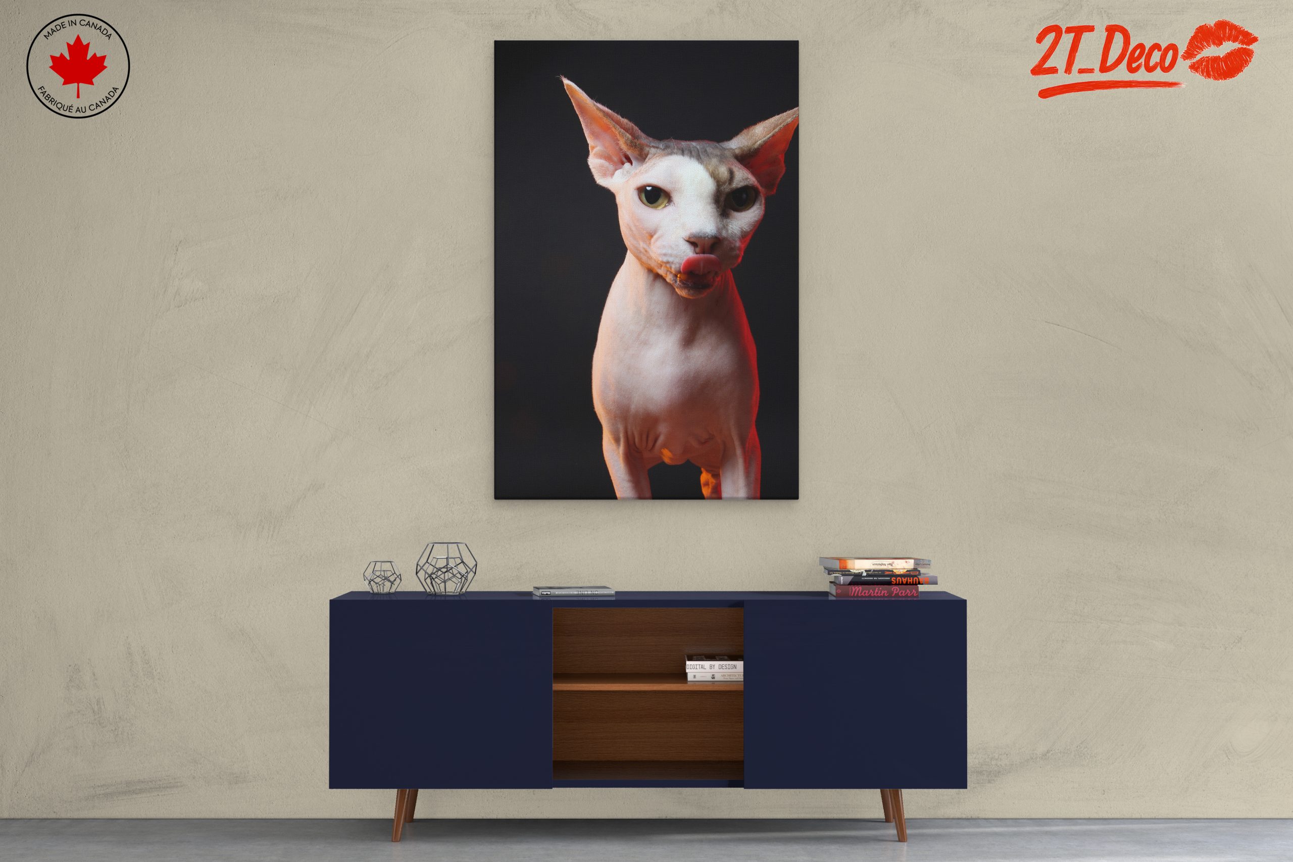 Cute Sphynx Cat with Unique Expression - Image 3