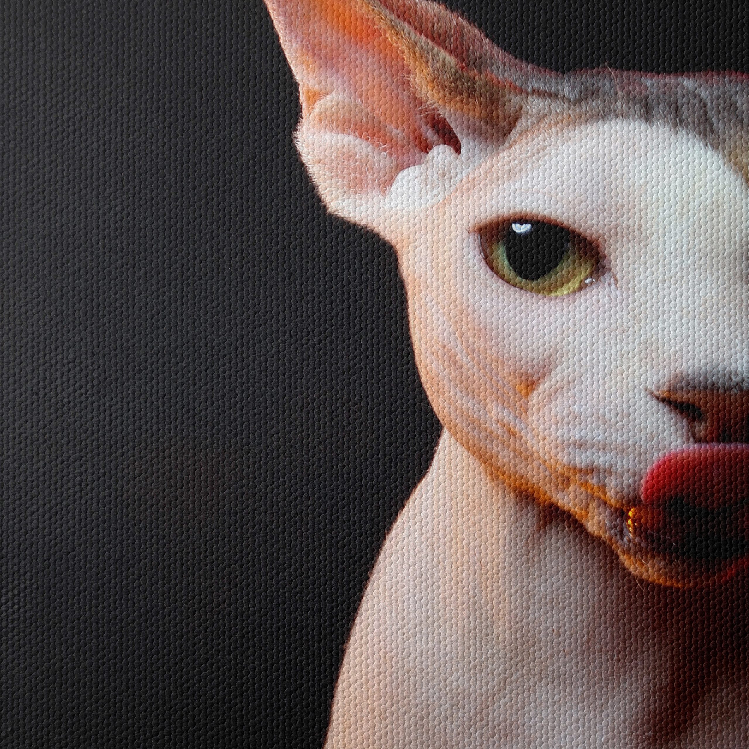 Cute Sphynx Cat with Unique Expression - Image 4