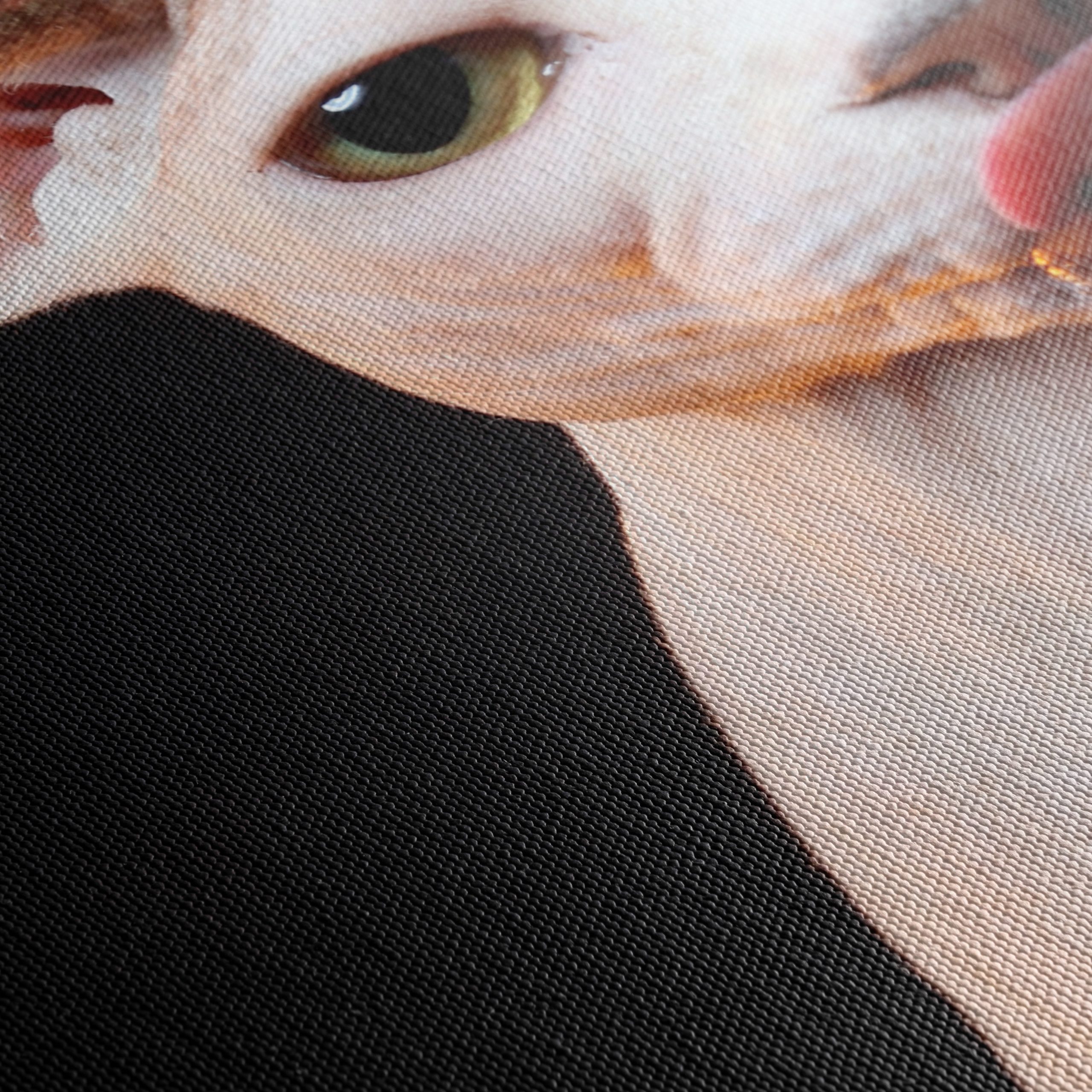 Cute Sphynx Cat with Unique Expression - Image 5