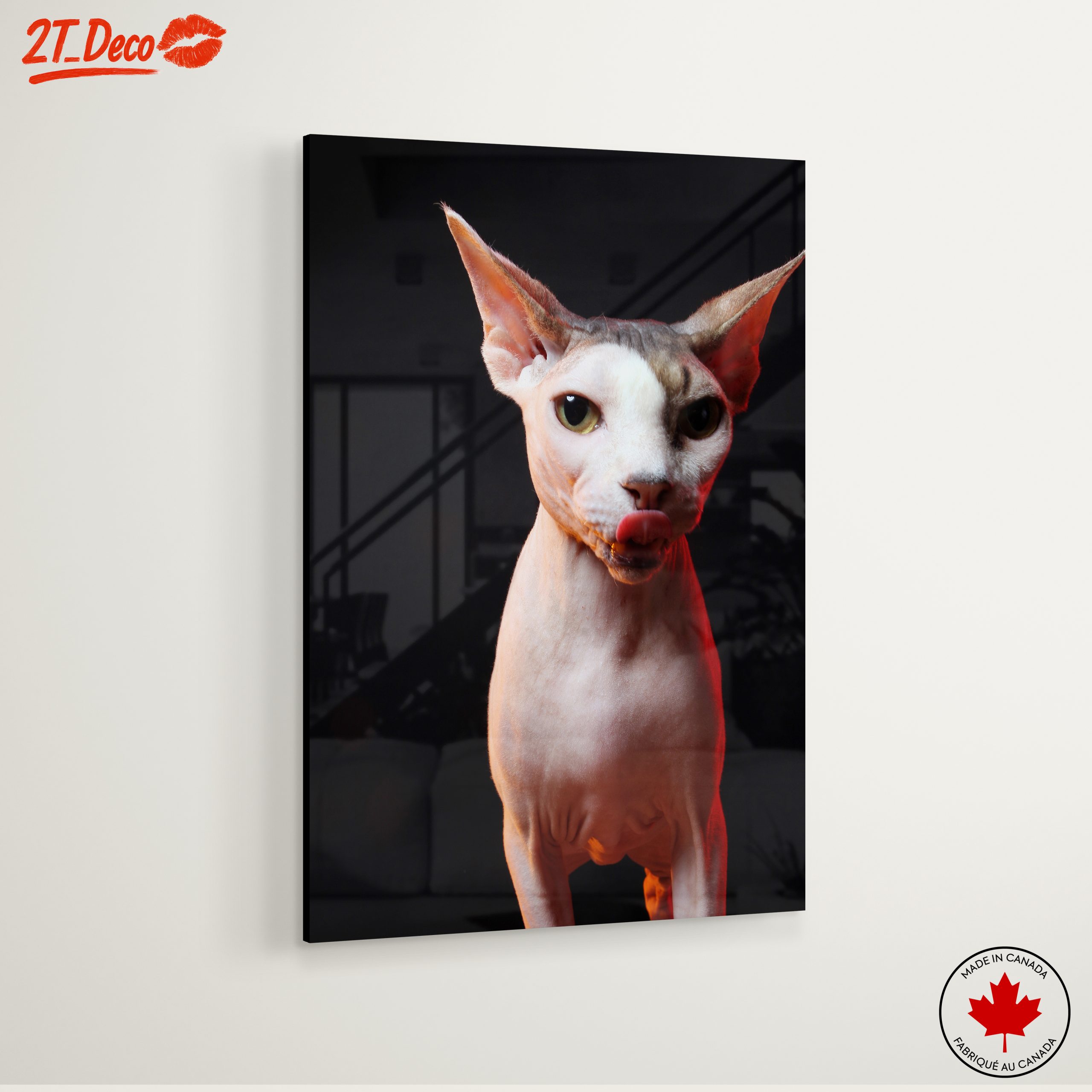 Cute Sphynx Cat with Unique Expression - Image 6