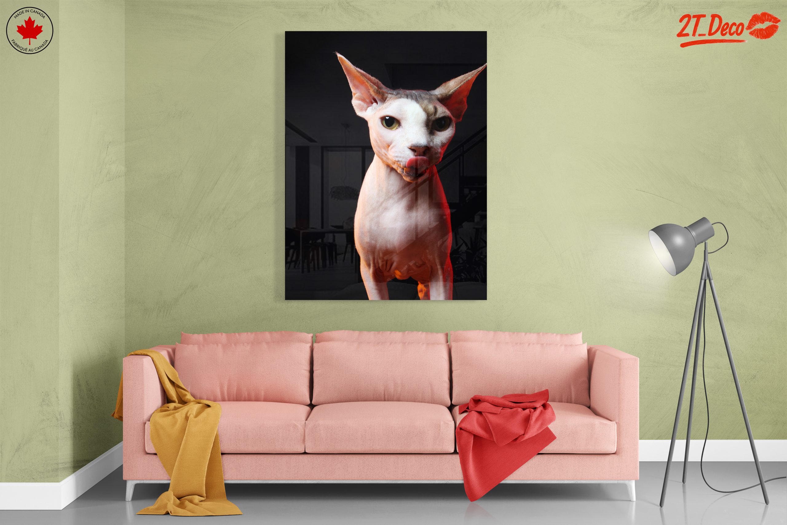 Cute Sphynx Cat with Unique Expression - Image 7