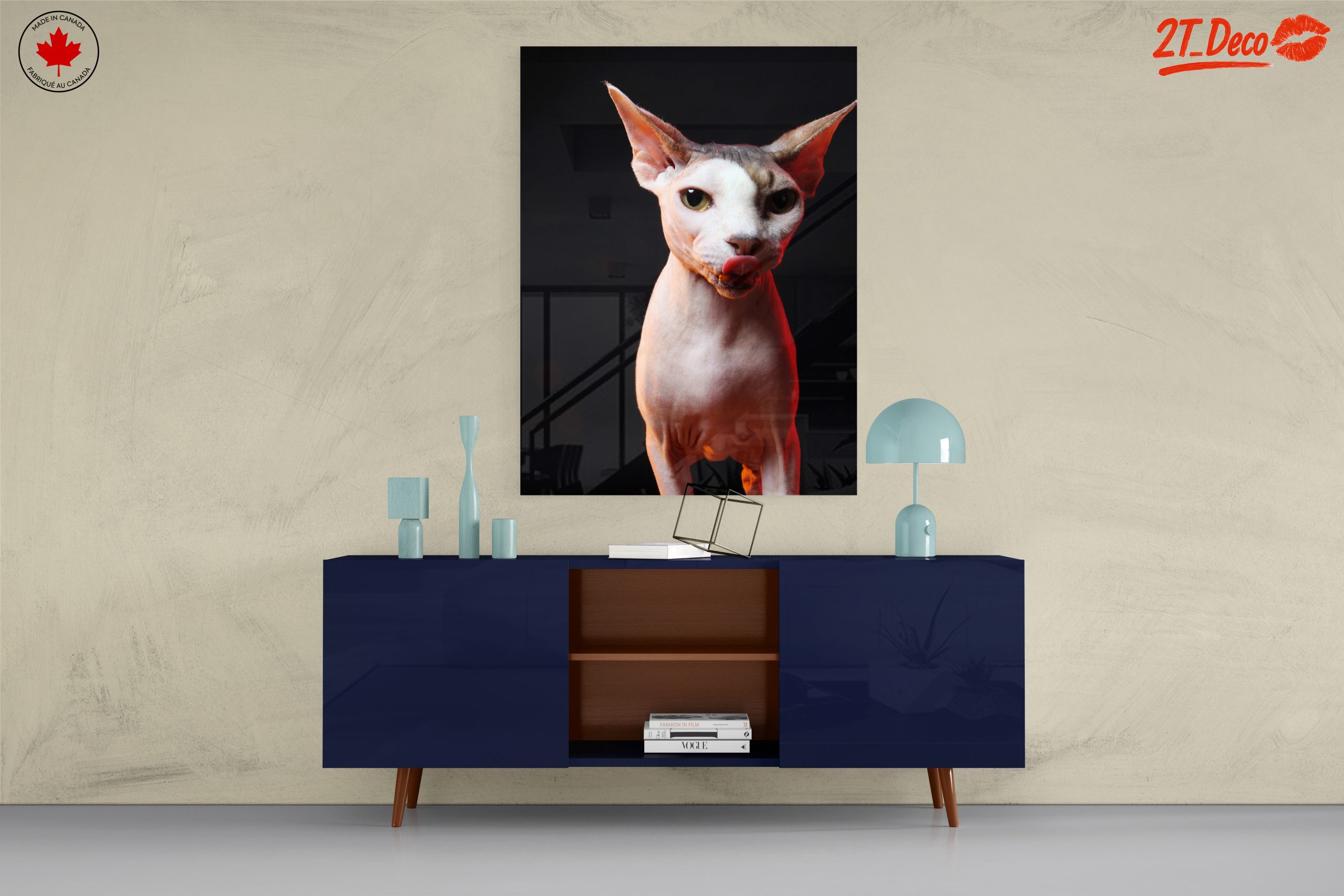 Cute Sphynx Cat with Unique Expression - Image 8