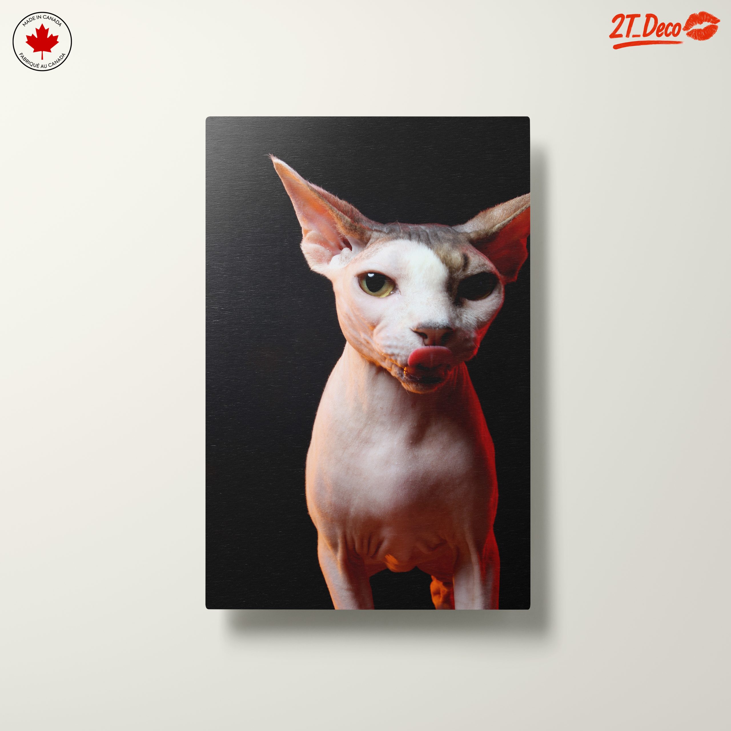 Cute Sphynx Cat with Unique Expression - Image 10