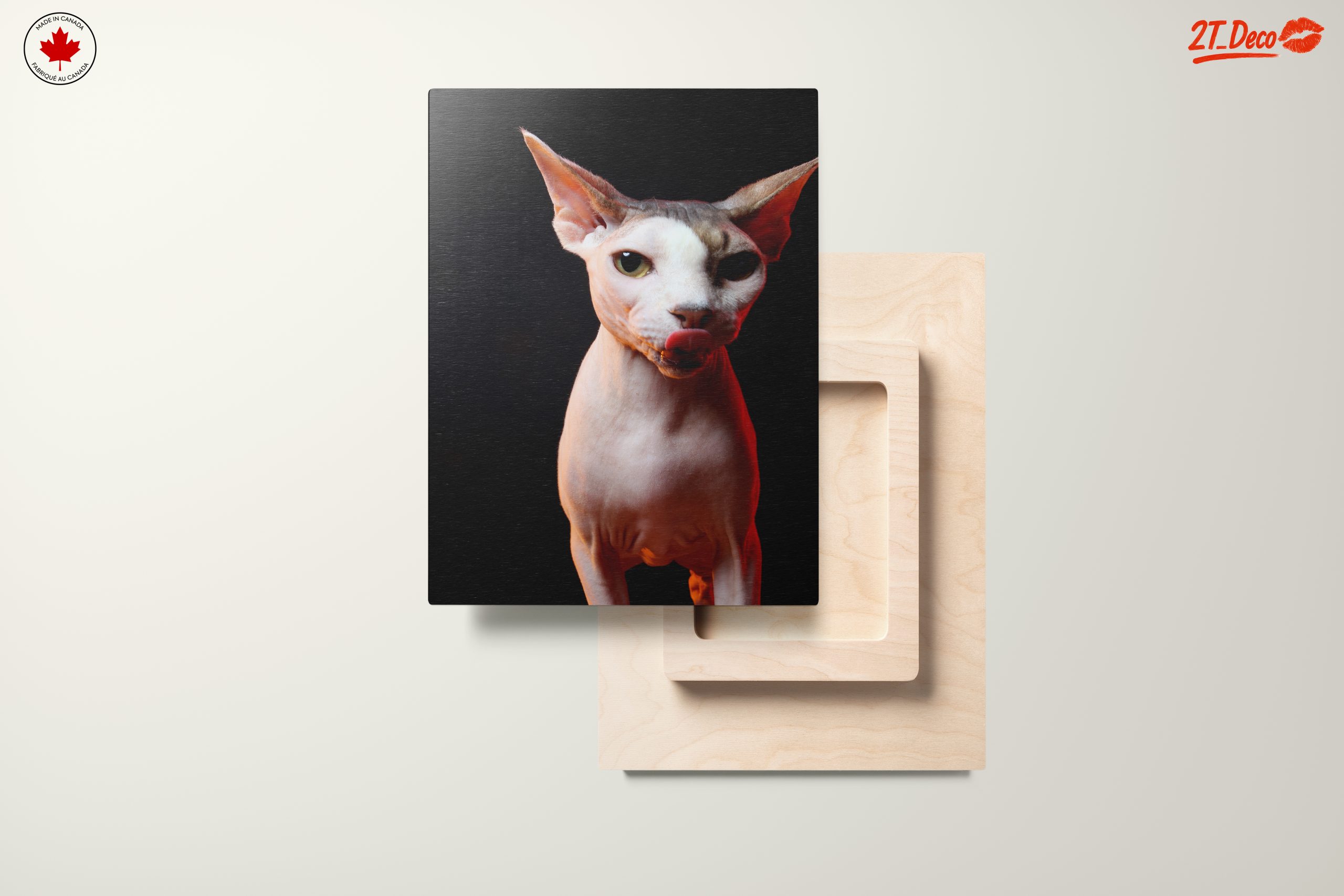 Cute Sphynx Cat with Unique Expression - Image 11