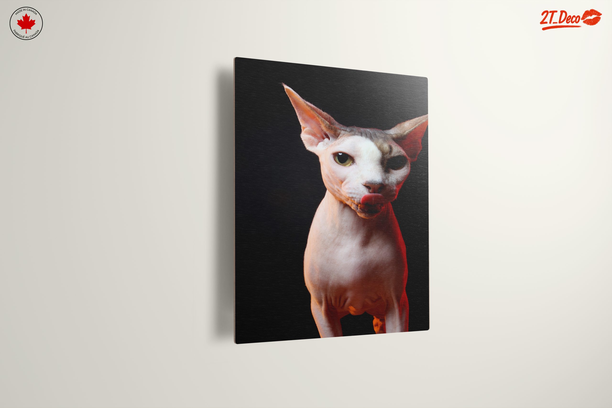 Cute Sphynx Cat with Unique Expression - Image 13
