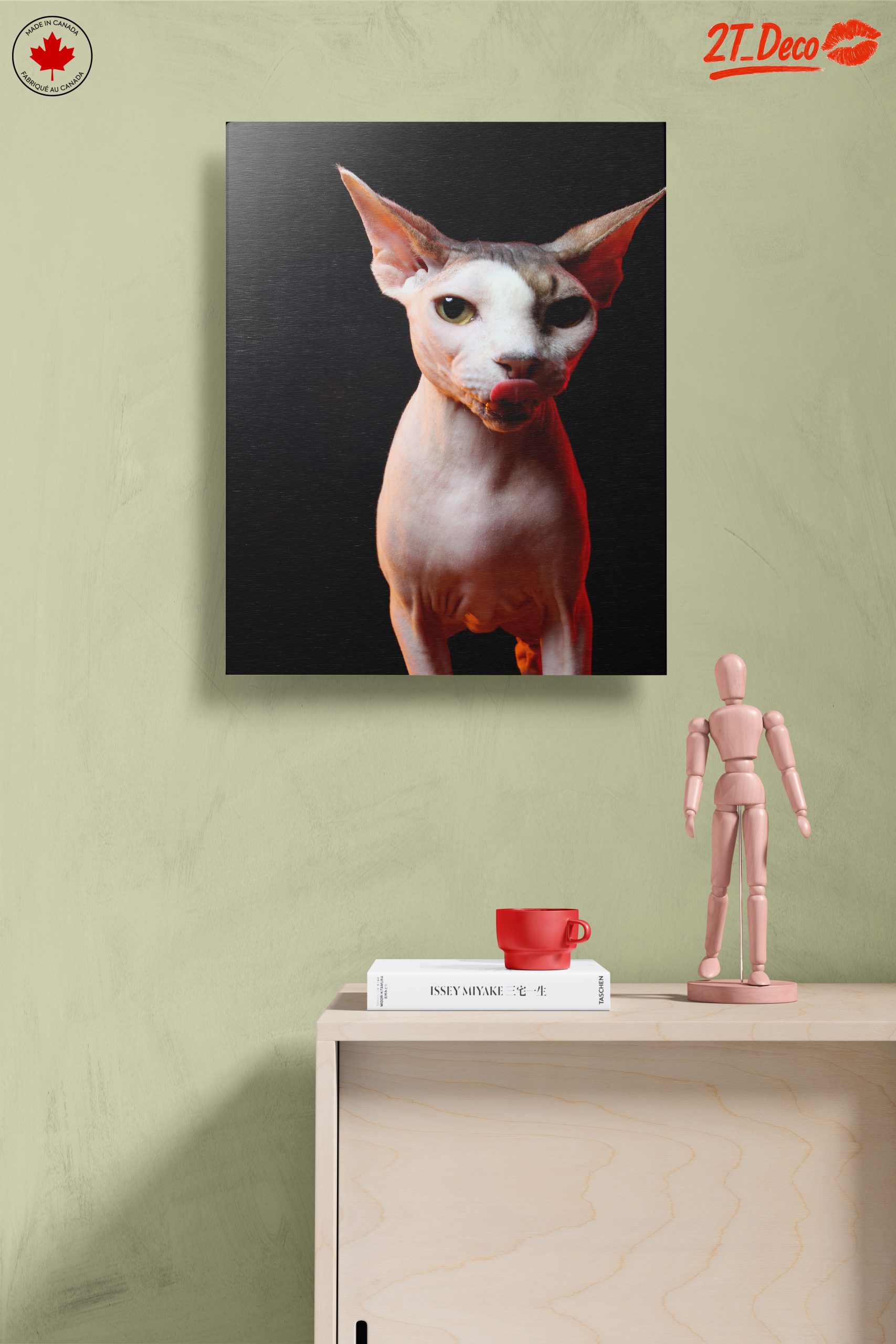 Cute Sphynx Cat with Unique Expression - Image 14