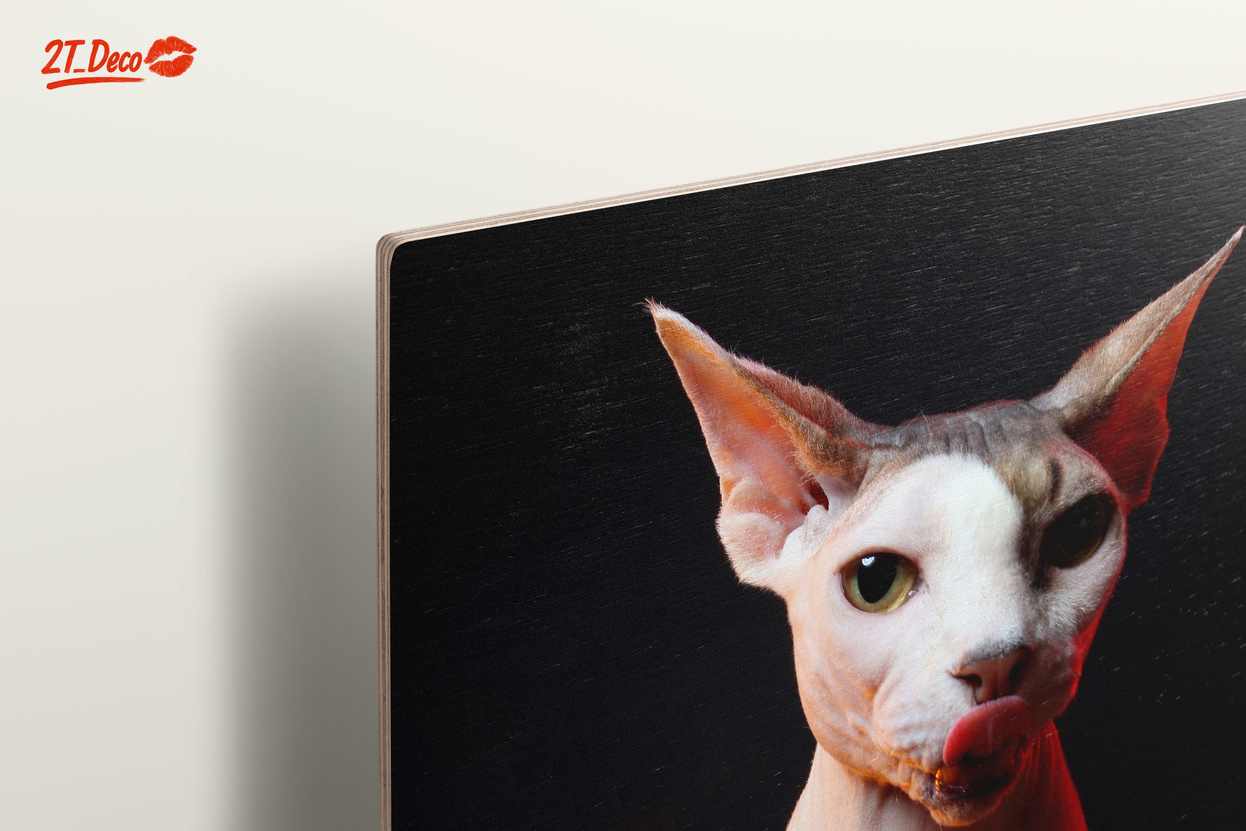 Cute Sphynx Cat with Unique Expression - Image 15
