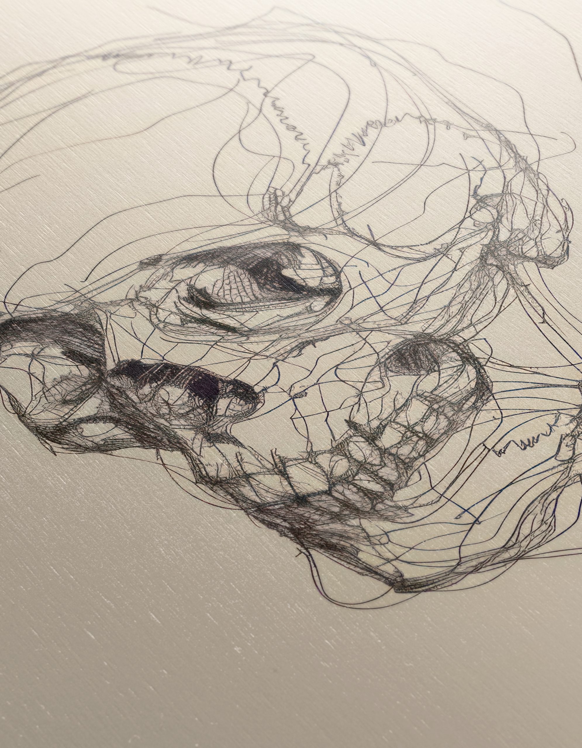 Stylized Skull Portrait Art - Image 12