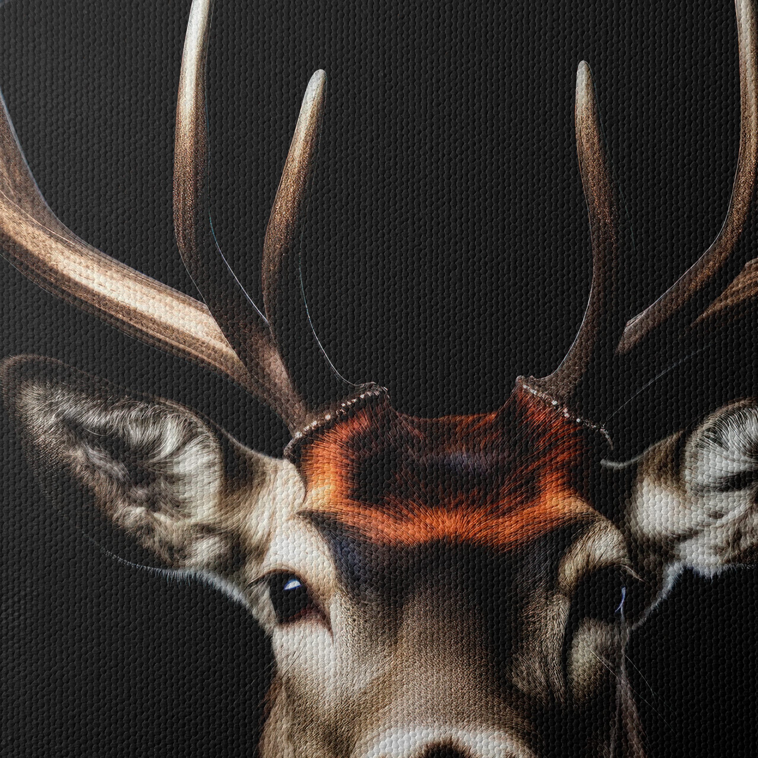 Stunning Portrait of a Majestic Deer - Image 4
