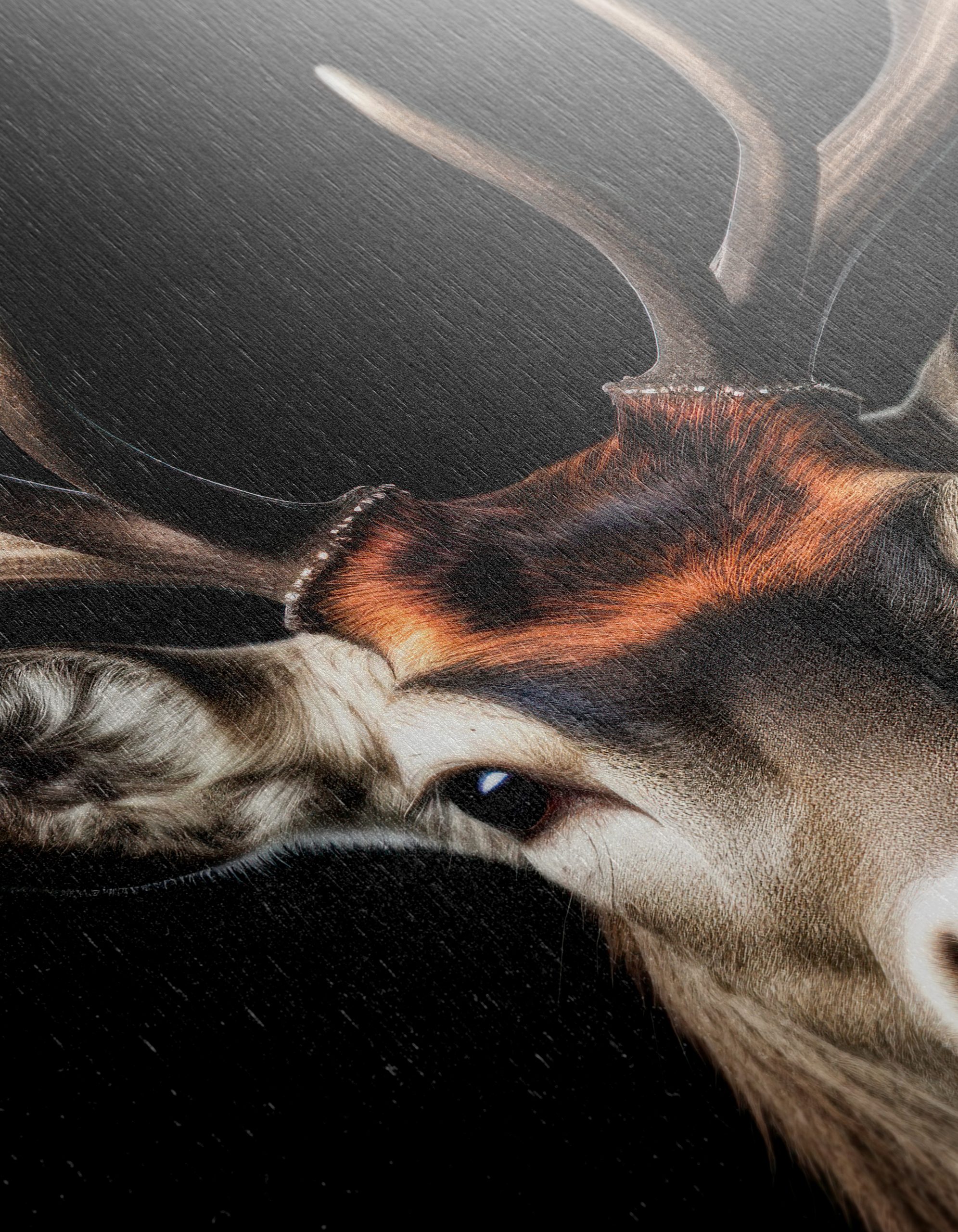 Stunning Portrait of a Majestic Deer - Image 12