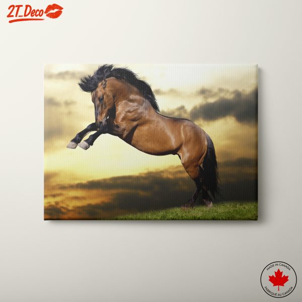 Dynamic Horse in Action