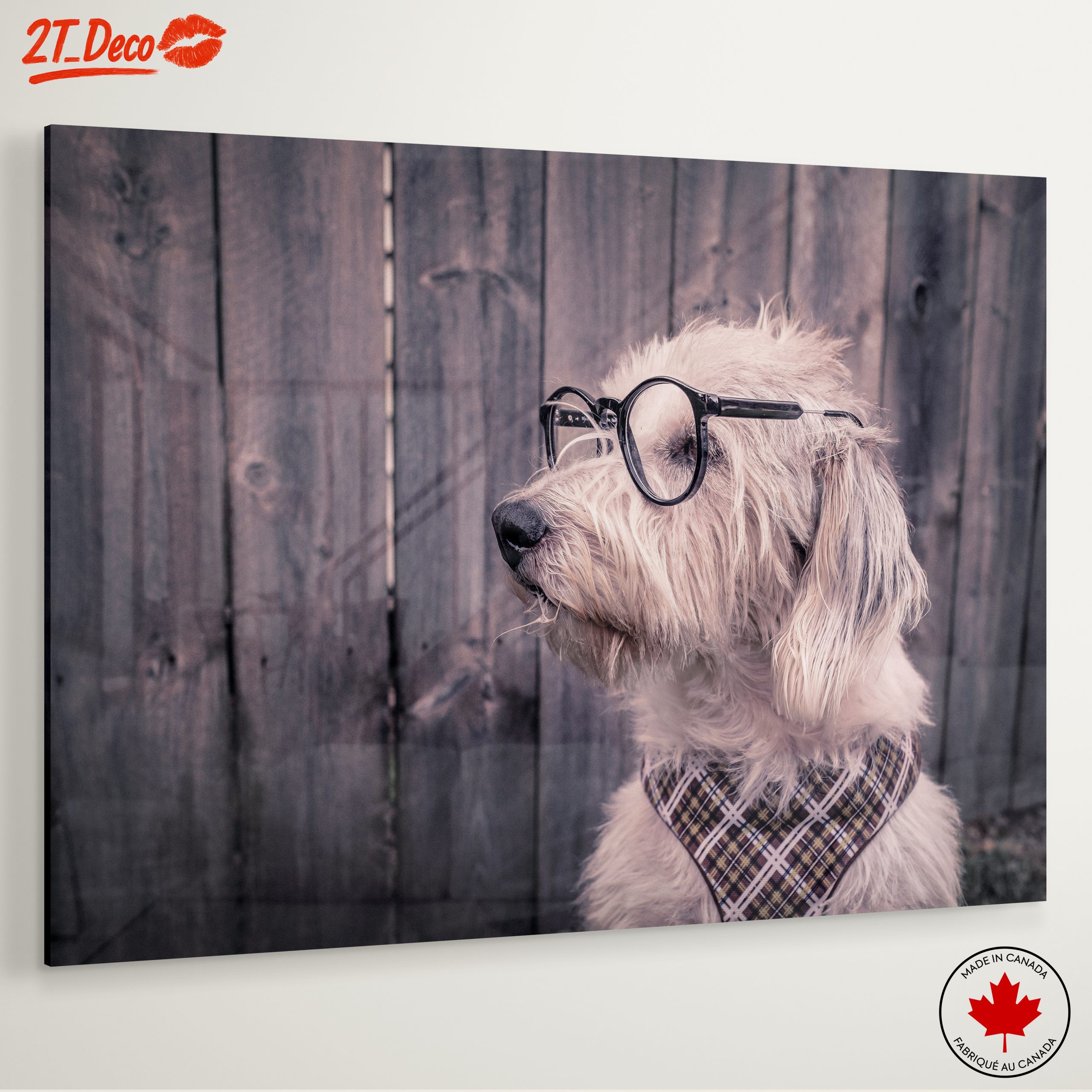 Quirky Dog Portrait with Glasses - Image 6