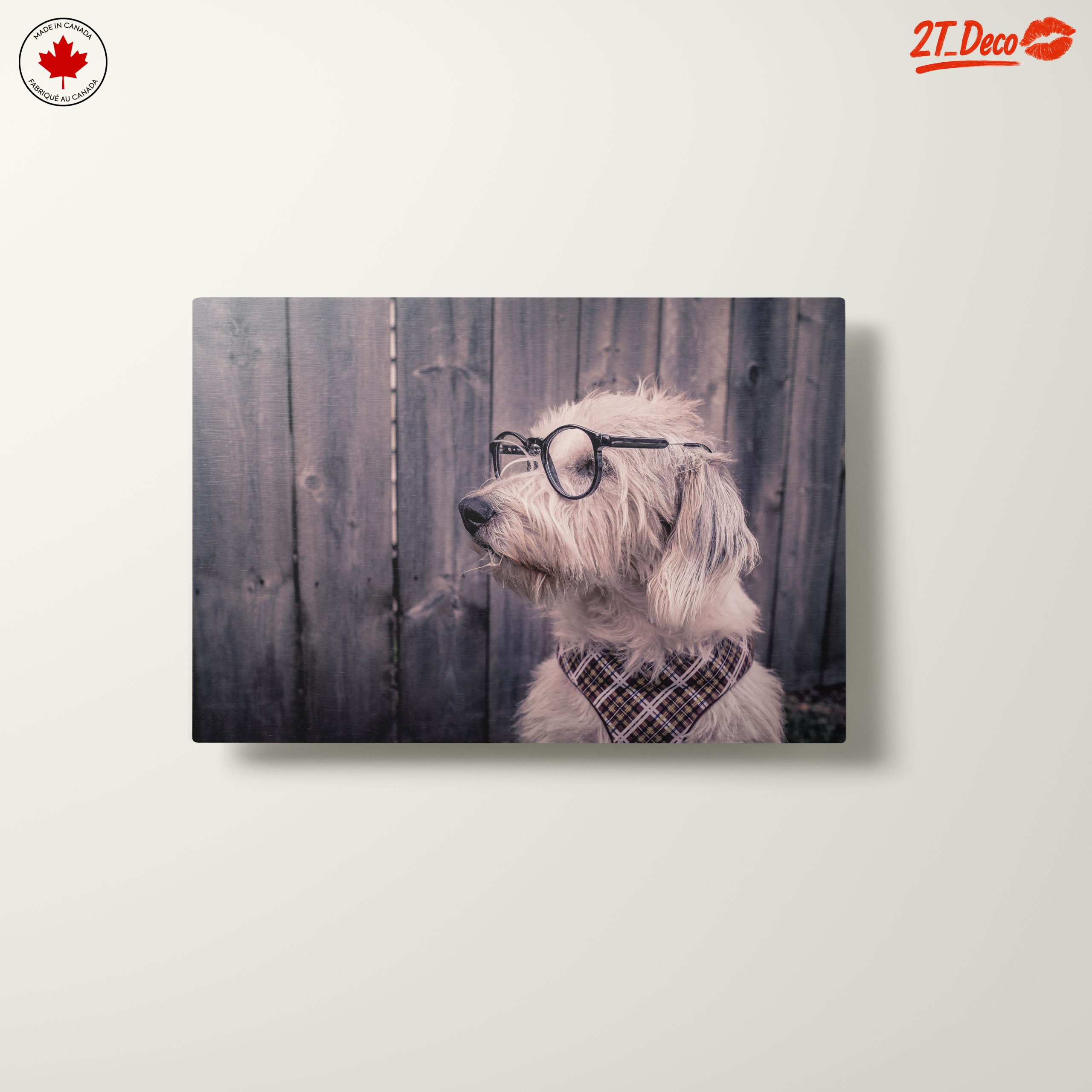 Quirky Dog Portrait with Glasses - Image 10