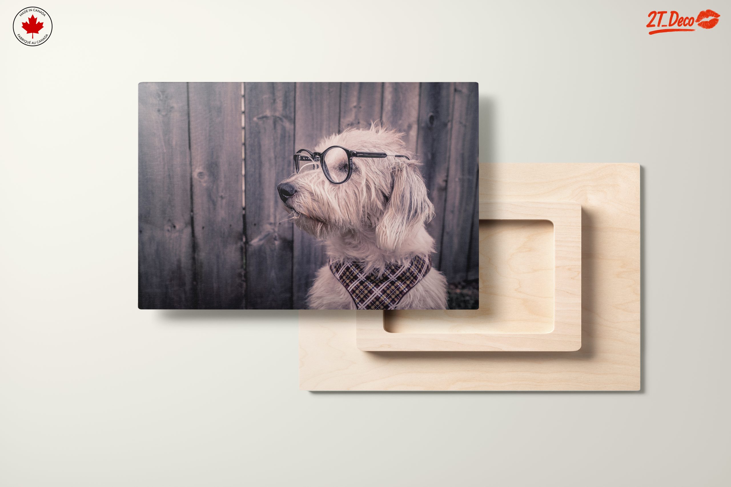 Quirky Dog Portrait with Glasses - Image 11