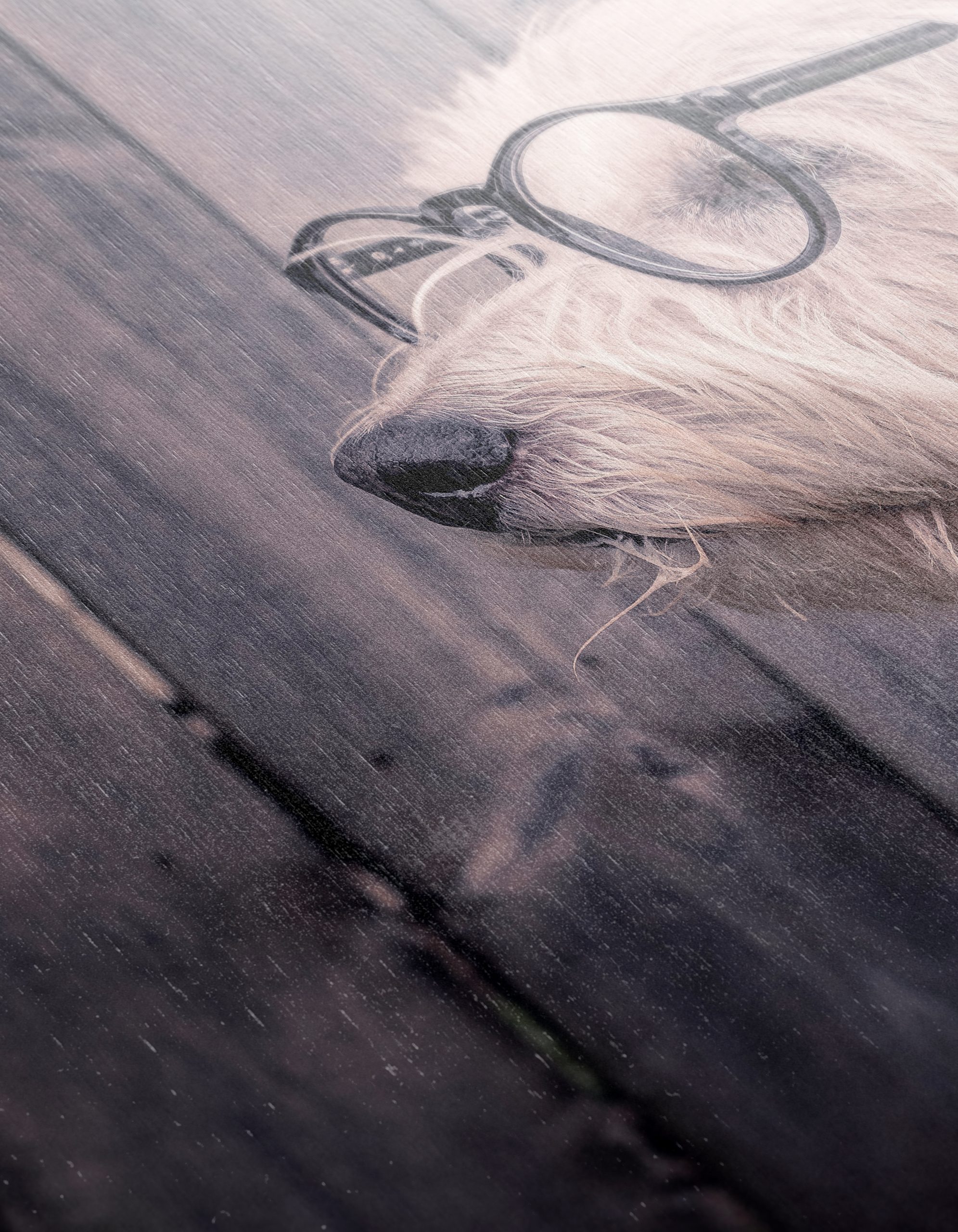 Quirky Dog Portrait with Glasses - Image 12