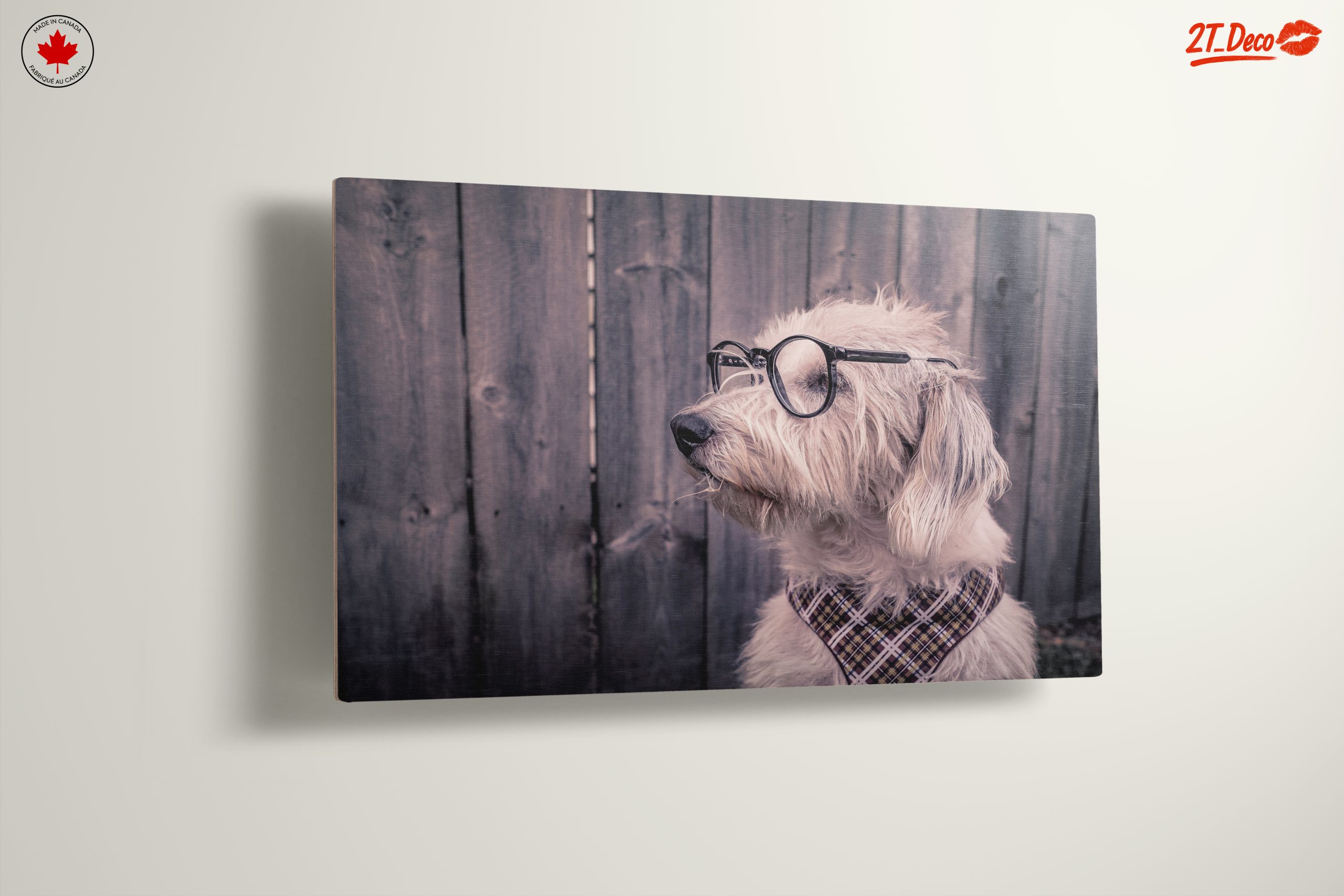 Quirky Dog Portrait with Glasses - Image 13