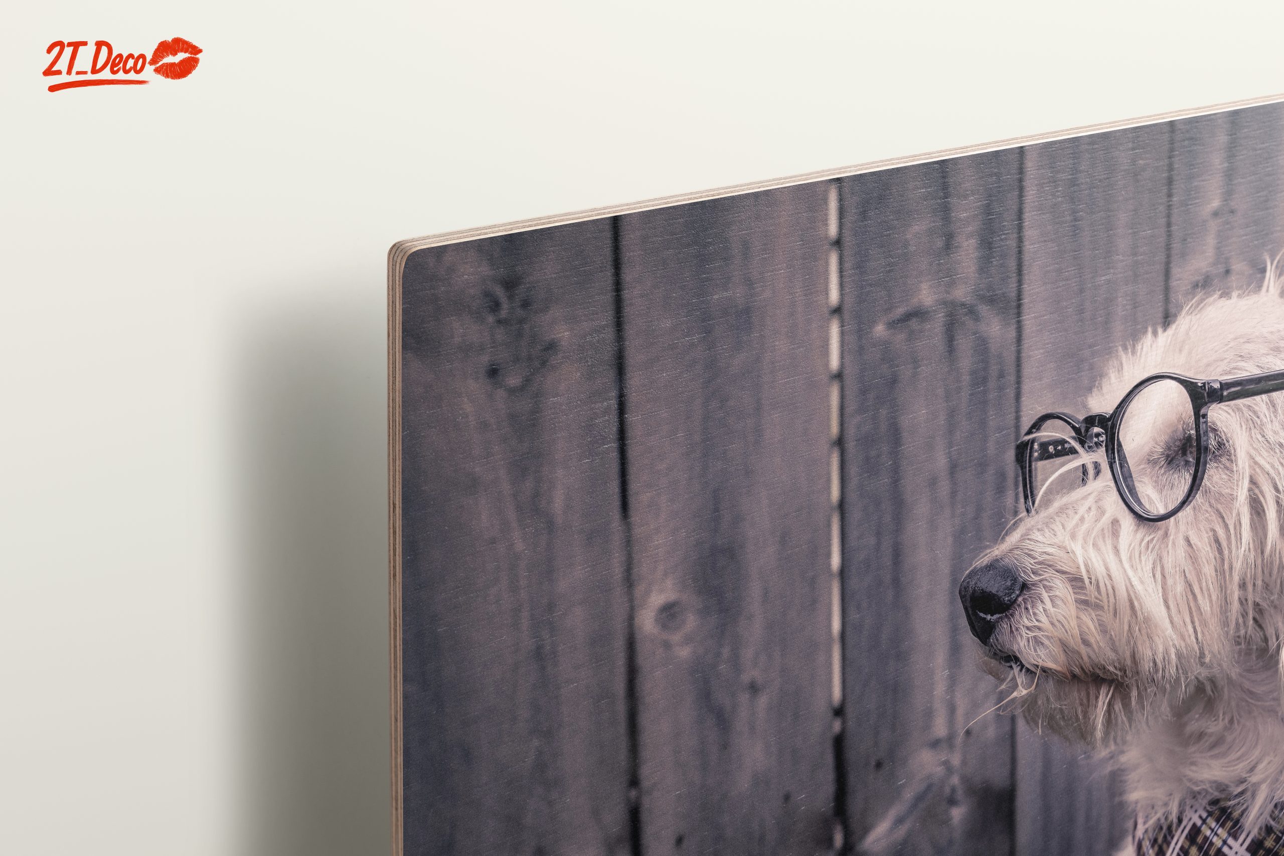Quirky Dog Portrait with Glasses - Image 15