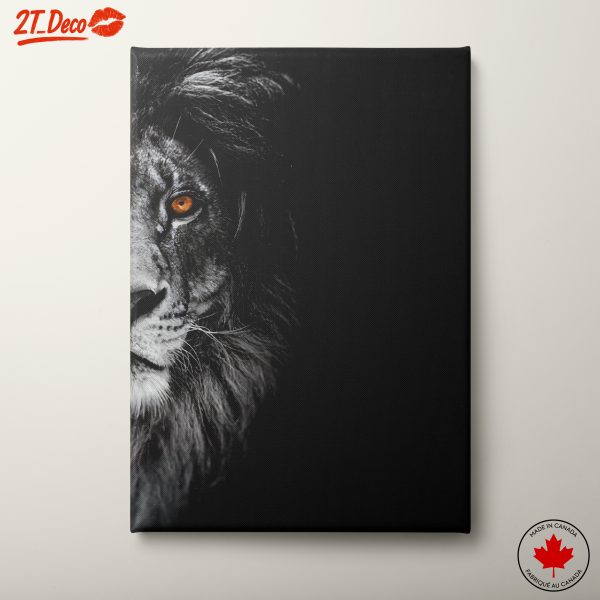 Majestic Lion Portrait in Black and White