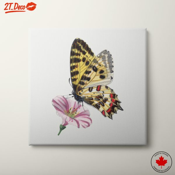 Vivid Butterfly on Delicate Flower
