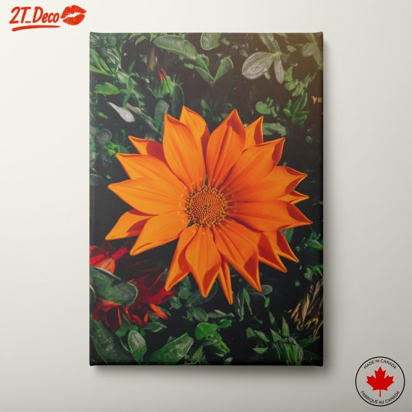 Vibrant Orange Flower Close-Up Art