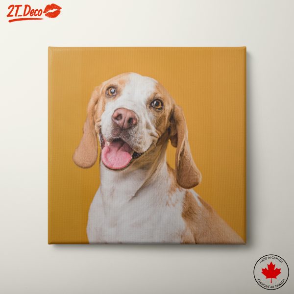 Cheerful Beagle Portrait on Yellow Background