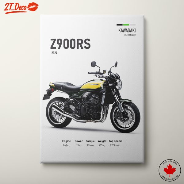 Kawasaki Z900RS 2024 Motorcycle Artwork