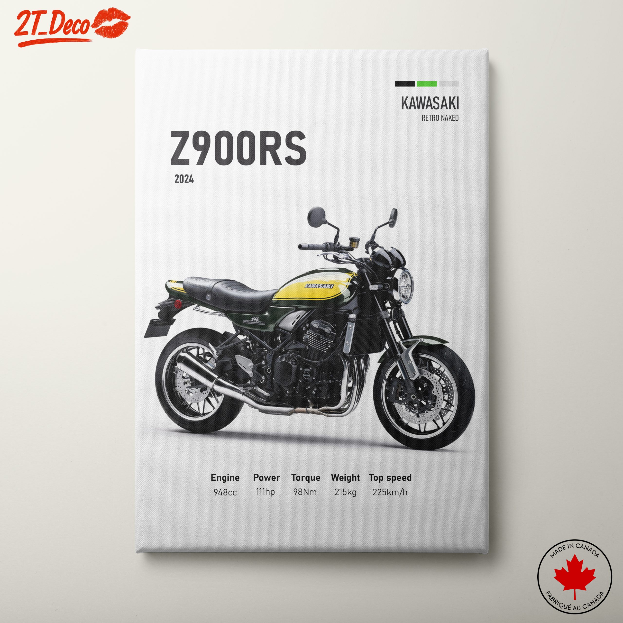 Kawasaki Z900RS 2024 Motorcycle Artwork