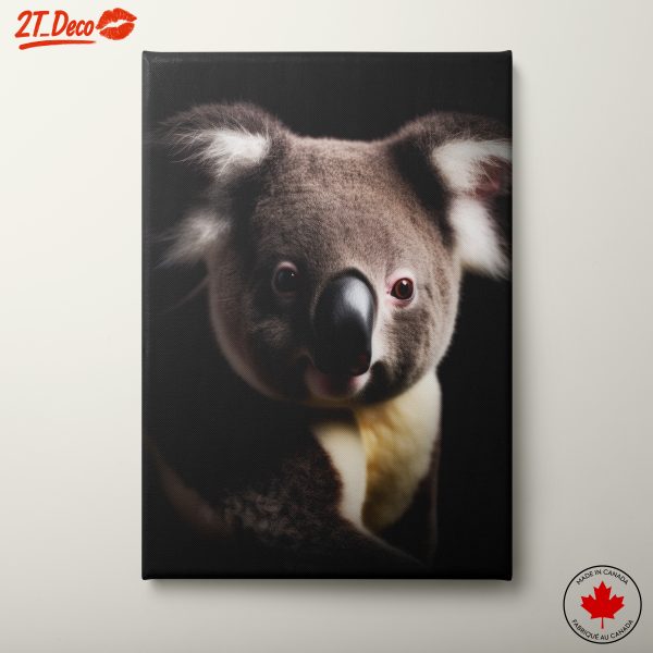 Koala Portrait with Dramatic Lighting