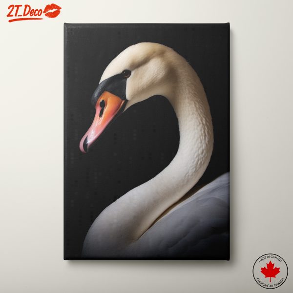 Elegant Swan Portrait in Black Background