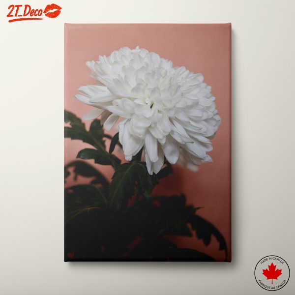 Elegant White Flower Wall Art