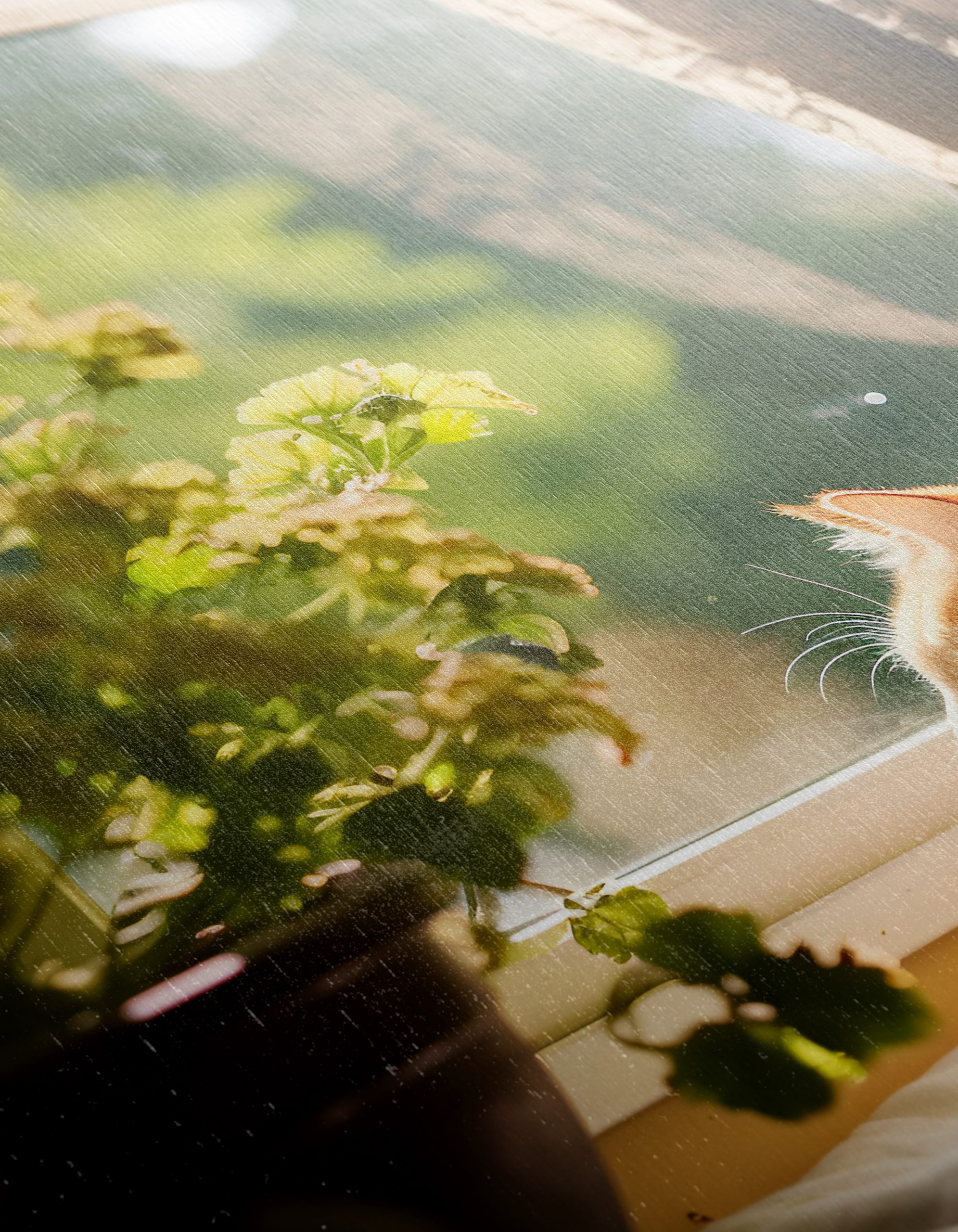 Golden Cat Relaxing by the Window - Image 12