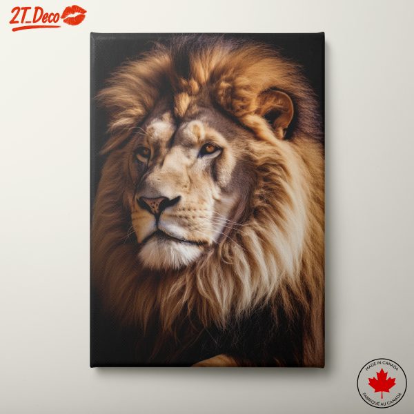 Majestic Lion Portrait 3