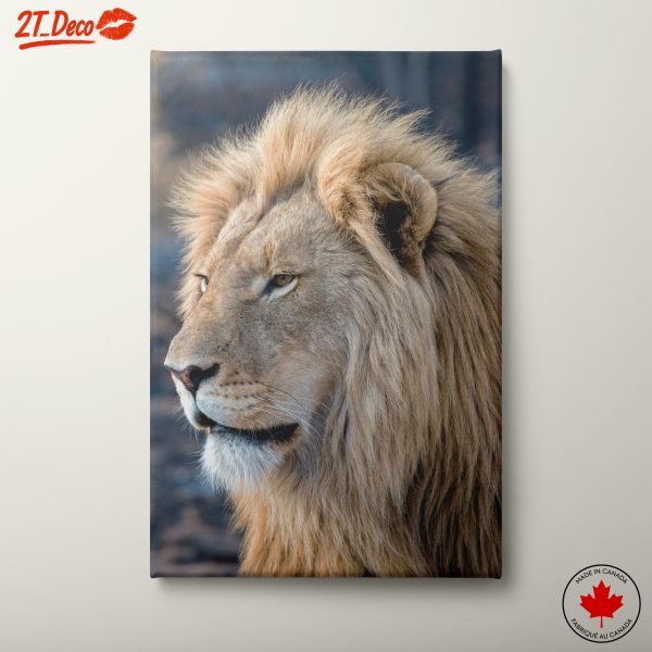 Majestic Lion Close-Up Wall Art