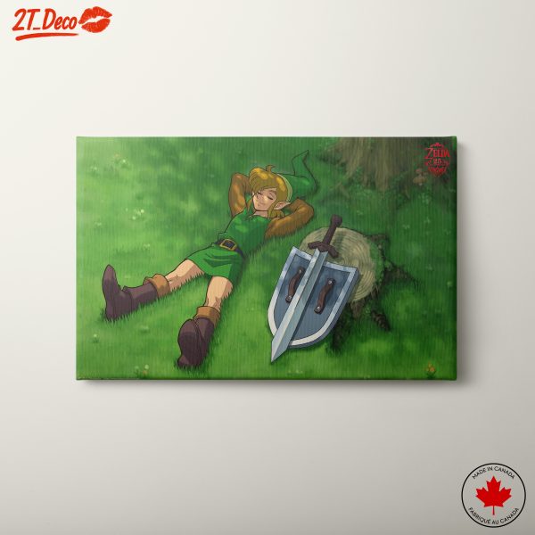 Link Relaxing in The Legend of Zelda