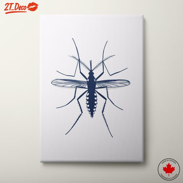 Illustration of a Detailed Insect